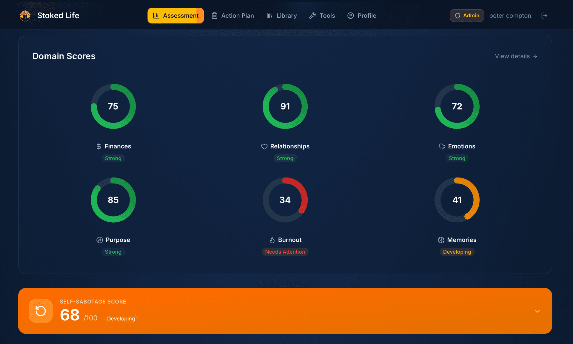 Your Wellness Scores